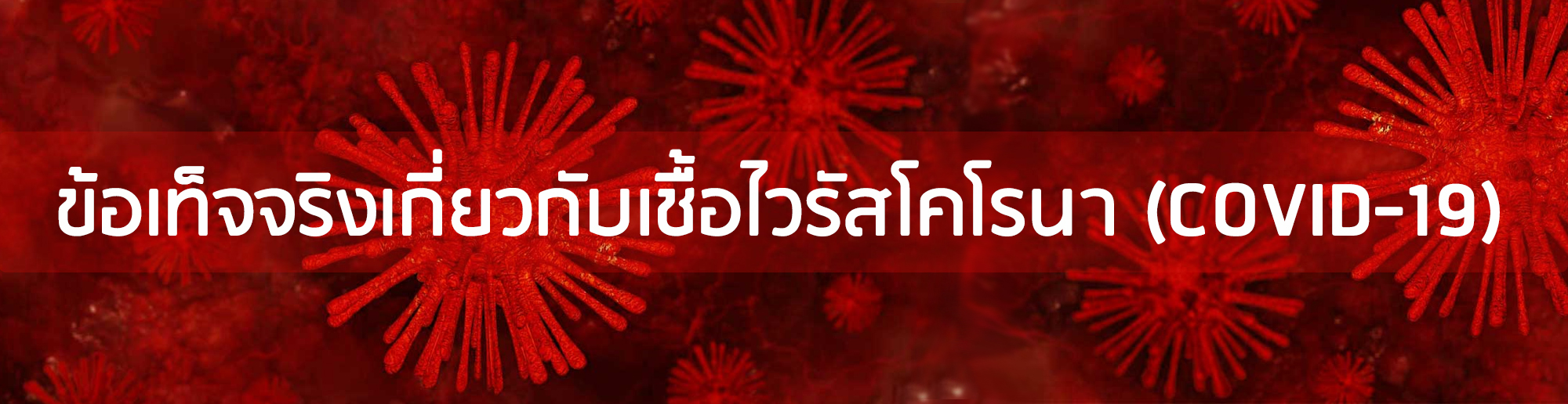 ข้อเท็จจริง Covid-19 ข้อเท็จจริง Covid-19
